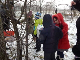 как мы помогли птицам