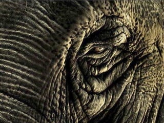 世界攝影金質作品