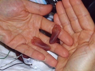 世界攝影金質作品