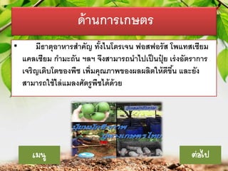 ด้ านการเกษตร
•

มีธาตุอาหารสาคัญ ทังไนโตรเจน ฟอสฟอรัส โพแทสเซียม
้
แคลเซียม กามะถัน ฯลฯ จึงสามารถนาไปเป็ นปุย เร่ งอัตราการ
๋
เจริญเติบโตของพืช เพิ่มคุณภาพของผลผลิตให้ ดีขน และยัง
ึ้
สามารถใช้ ไล่ แมลงศัตรูพืชได้ ด้วย

เมนู

ต่อไป

 