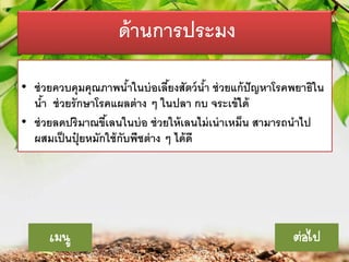 ด้ านการประมง
• ช่ วยควบคุมคุณภาพนาในบ่ อเลียงสัตว์ นา ช่ วยแก้ ปัญหาโรคพยาธิใน
้
้
้
นา ช่ วยรั กษาโรคแผลต่ าง ๆ ในปลา กบ จระเข้ ได้
้
• ช่ วยลดปริมาณขีเ้ ลนในบ่ อ ช่ วยให้ เลนไม่ เน่ าเหม็น สามารถนาไป
ผสมเป็ นปุยหมักใช้ กับพืชต่ าง ๆ ได้ ดี
๋

เมนู

ต่อไป

 
