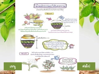 เมนู

ต่อไป

 