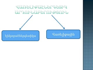 էլեկտրաէներգետիկա

Վառելիքային

 