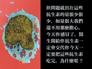 但問題就出在這些
抗生素的量很少很
少，如量很大我們
還不用那麼擔心。
今天你 感冒了，醫
生開給你 抗生素一
定會交代你 今天一
定要把這些抗生素
吃完，為什麼呢 ？

 