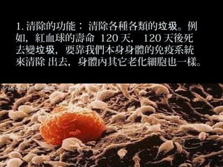 1. 清除的功能： 清除各種各類的垃圾。例
如，紅血球的壽命 120 天， 120 天後死
去變垃圾，要靠我們本身身體的免疫系統
來清除 出去，身體內其它老化細胞也一樣。

 