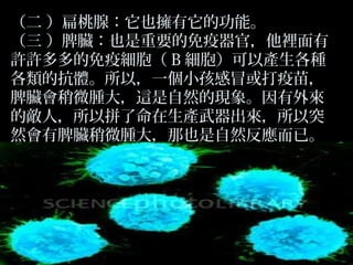 （二 ）扁桃腺：它也擁有它的功能。
（三 ）脾臟：也是重要的免疫器官，他裡面有
許許多多的免疫細胞（ B 細胞）可以產生各種
各類的抗體。所以，一個小孩感冒或打疫苗，
脾臟會稍微腫大，這是自然的現象。因有外來
的敵人，所以拼了命在生產武器出來，所以突
然會有脾臟稍微腫大，那也是自然反應而已。

 