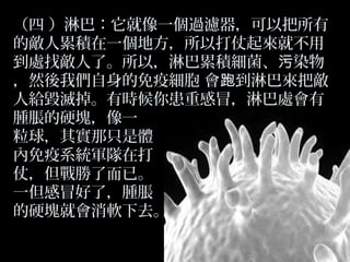 （四 ）淋巴：它就像一個過濾器，可以把所有
的敵人累積在一個地方，所以打仗起來就不用
到處找敵人了。所以，淋巴累積細菌、污染物
，然後我們自身的免疫細胞 會跑到淋巴來把敵
人給毀滅掉。有時候你患重感冒，淋巴處會有
腫脹的硬塊，像一
粒球，其實那只是體
內免疫系統軍隊在打
仗，但戰勝了而已。
一但感冒好了，腫脹
的硬塊就會消軟下去。

 