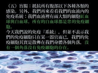 （五）盲腸：抵抗所有腹部以下各種各類的
感染。另外，我們再來看看我們的血液內的
免疫系統：我們血液裡有兩大類的細胞紅血
球與白血球。所有的白血球都是您 的免疫細
胞。
今天我們說的免疫『系統』，但並不表示我
們的免疫細胞只在某一器官而已，我們的免
疫細胞其實是散佈在我們身體各個角落，沒
有一個角落沒有免疫細胞的存在。

 