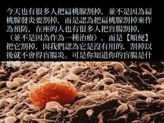 今天也有很多人把扁桃腺割掉，並不是因為扁
桃腺發炎要割掉，而是認為把扁桃腺割掉來作
為預防，在座的人也有很多人把盲腸割掉，
（並不是因為作為一種治療），而是【順便】
把它割掉，因我們認為它是沒有用的，割掉以
後就不會得盲腸炎。可是你知道你的盲腸是什
麼嗎？

 