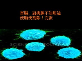 盲腸、扁桃腺不知用途
便順便割除！完蛋

 