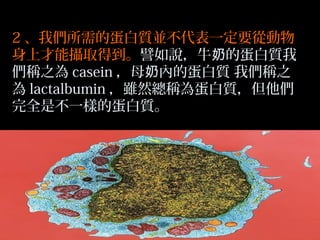 2 、我們所需的蛋白質並不代表一定要從動物
身上才能攝取得到。譬如說，牛奶的蛋白質我
們稱之為 casein ，母奶內的蛋白質 我們稱之
為 lactalbumin ，雖然總稱為蛋白質，但他們
完全是不一樣的蛋白質。

 