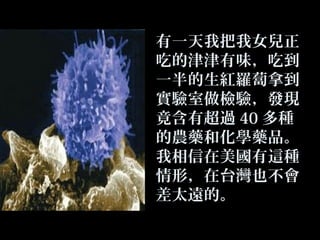 有一天我把我女兒正
吃的津津有味，吃到
一半的生紅羅蔔拿到
實驗室做檢驗，發現
竟含有超過 40 多種
的農藥和化學藥品。
我相信在美國有這種
情形，在台灣也不會
差太遠的。

 