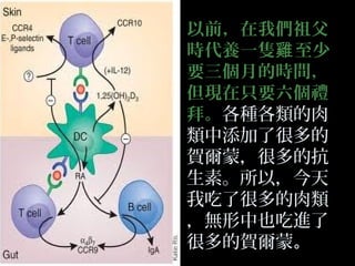 以前，在我們祖父
時代養一隻雞 至少
要三個月的時間，
但現在只要六個禮
拜。各種各類的肉
類中添加了很多的
賀爾蒙，很多的抗
生素。所以，今天
我吃了很多的肉類
，無形中也吃進了
很多的賀爾蒙。

 