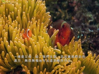 一條是父母，給了我們生命，目送著我們走向
遠方，無怨無悔地付出直到無所付出。

 