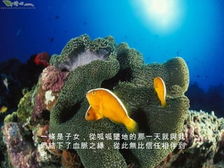 一條是子女，從呱呱墜地的那一天就與我
們結下了血脈之緣，從此無比信任相伴到
老。

 