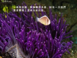 一條是故鄉，無論飄得多高，終有一天我們
還是要踏上這條回家的路。

 