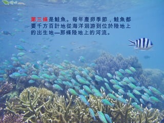第三條是鮭魚。每年產卵季節，鮭魚都
要千方百計地從海洋洄游到位於陸地上
的出生地—那條陸地上的河流。

 
