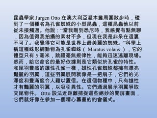 昆蟲學家 Jurgen Otto 在澳大利亞灌木叢周圍散步時，碰
到了一個種名為孔雀蜘蛛的小型昆蟲，這種昆蟲他以前
從未接觸過。他說：“當我剛到悉尼時，我感覺有點無聊
，因為值得我拍攝的素材不多，但現在我是非呆在這裏
不可了。我覺得它可能是世界上最美麗的蜘蛛。”科學上
稱這種蛛形綱動物為孔雀蜘蛛（ Maratus volans ），它的
體型只有 5 毫米，跳躍毫無規律性，能夠迅速逃離現場。
然而，給它命名的最好依據則是它類似於孔雀的特性。
和尾羽豐盛的雄性孔雀一樣，雄性孔雀蜘蛛都擁有漂亮
豔麗的羽翼，這些羽翼展開就像是一把扇子，它們的光
澤度和豐滿度令人難以置信。在這個物種中，只有雄性
才有豔麗的羽翼，以吸引異性。它們通過展示羽翼爭取
交尾物件。 Otto 設法近距離捕捉這些絕妙的開屏畫面，
它們就好像在參加一個精心籌畫的約會儀式。

 