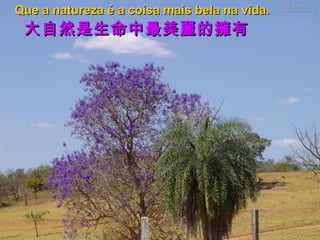 Que a natureza é a coisa mais bela na vida.

大自然是生命中最美麗的擁有

 
