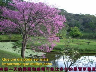 Que um dia pode ser mais
importante que muitos anos.
anos

有時一天的經歷和感悟可能比多年的學習更豐富

 
