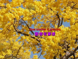 Que sonhar é preciso.

誰都有夢想

 