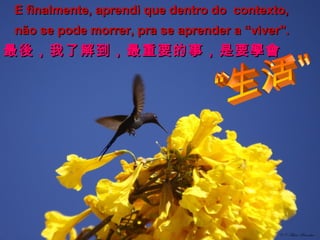 E finalmente, aprendi que dentro do contexto,
não se pode morrer, pra se aprender a “viver".

最後，我了解到，最重要的 事，是 要學會

 