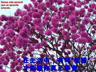 Nessa vida aprendi
que se aprende
errando.

在生活中，有時“犯錯”
才能讓你真正學會。

 