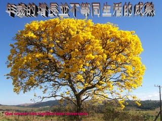 Que crescer não significa fazer aniversário.

 