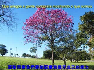 Que amigos a gente conquista mostrando o que somos

面對同事我們要能証實和展示自己的能力

 