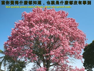 當你覺得什麼都知道，也就是什麼都沒有學到
Que quando penso saber de tudo, ainda não aprendi nada.

 