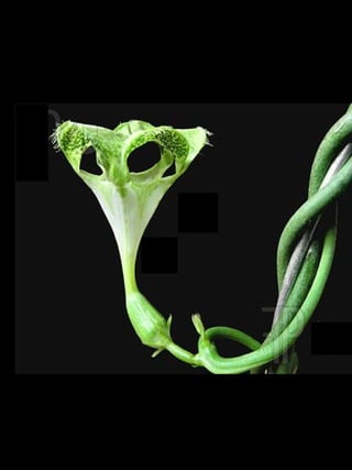 Ļ --דUߵĂ