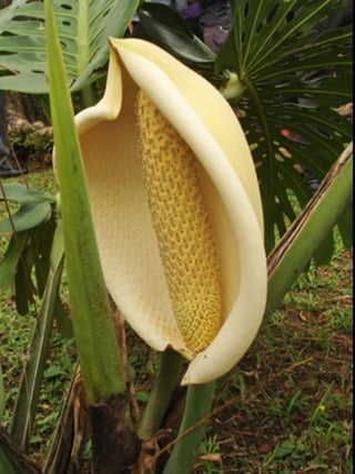 Ļ --דUߵĂ