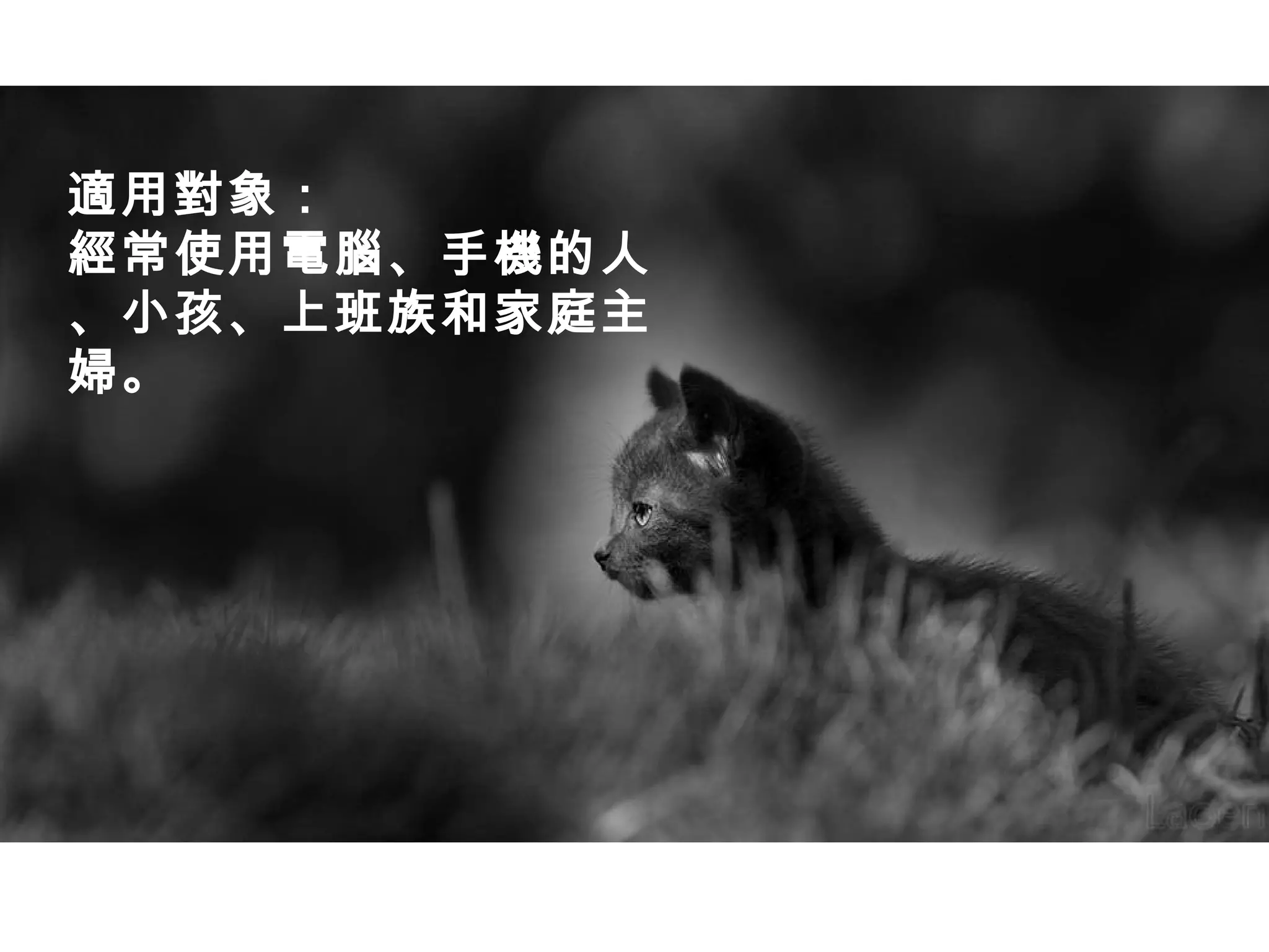 適用對象：
經常使用電腦、手機的人
、小孩、上班族和家庭主
婦。

 