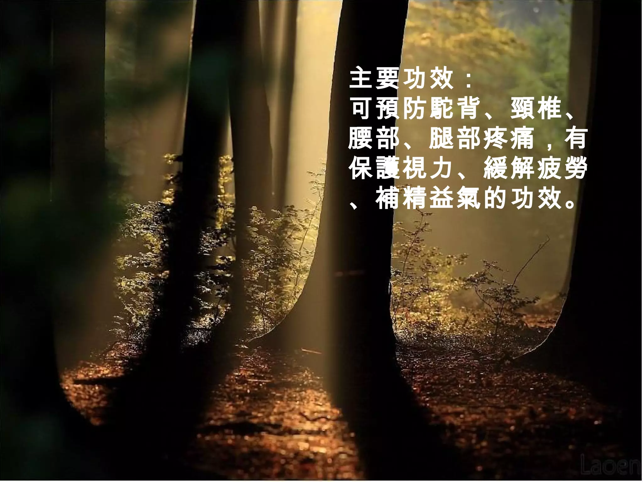 主要功效：
可預防駝背、頸椎、
腰部、腿部疼痛，有
保護視力、緩解疲勞
、補精益氣的功效。

 