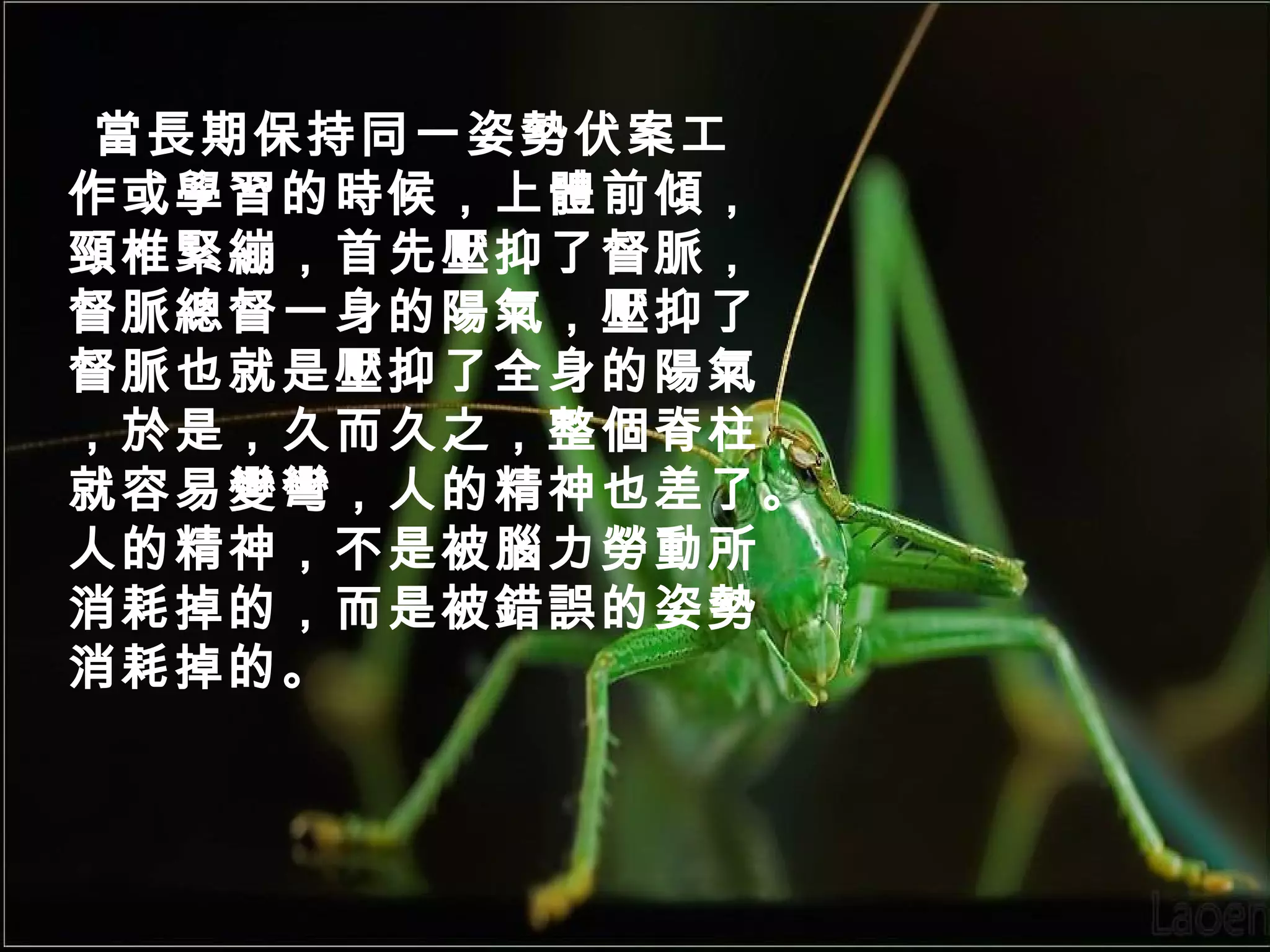 當長期保持同一姿勢伏案工
作或學習的時候，上體前傾，
頸椎緊繃，首先壓抑了督脈，
督脈總督一身的陽氣，壓抑了
督脈也就是壓抑了全身的陽氣
，於是，久而久之，整個脊柱
就容易變彎，人的精神也差了。
人的精神，不是被腦力勞動所
消耗掉的，而是被錯誤的姿勢
消耗掉的。

 