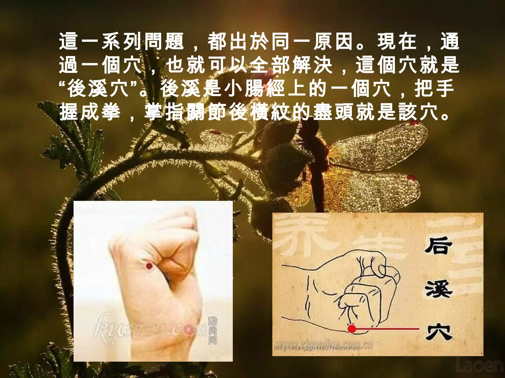 這一系列問題，都出於同一原因。現在，通
過一個穴，也就可以全部解決，這個穴就是
“後溪穴”。後溪是小腸經上的一個穴，把手
握成拳，掌指關節後橫紋的盡頭就是該穴。

 