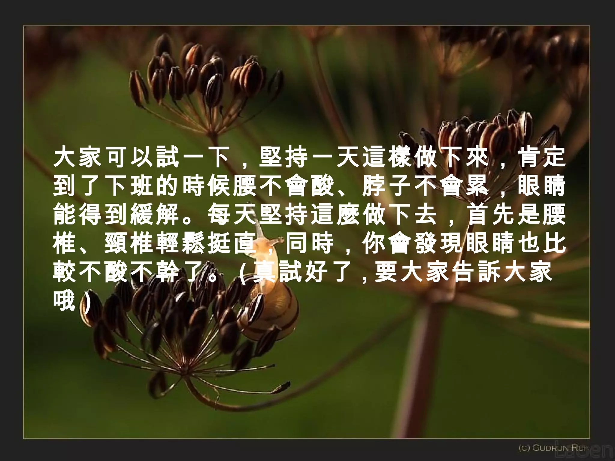大家可以試一下，堅持一天這樣做下來，肯定
到了下班的時候腰不會酸、脖子不會累，眼睛
能得到緩解。每天堅持這麼做下去，首先是腰
椎、頸椎輕鬆挺直，同時，你會發現眼睛也比
較不酸不幹了。 ( 真試好了 , 要大家告訴大家
哦)

 
