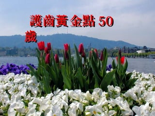 護齒黃 金點 50
歲

 