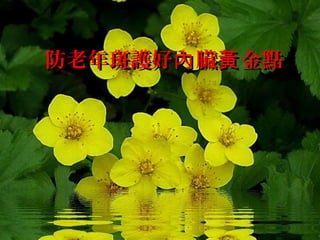 防老年斑護好內 臟黃 金點

 