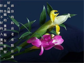 肝而

好

面

內
腎內臟容
臟
不 ，的
的
好
抗
黃
的金 衰

人點

老

黃在
褐
肝
斑
腎
、
，

重
點
在
護

 