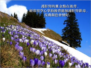 護肝腎的黃 金點在後背 ,
經常用空心掌拍後背能加速肝腎排毒 ,
皮膚顏色會變好。

 