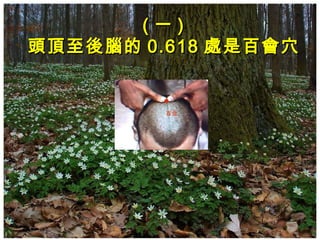(一)
頭頂至後腦的 0.618 處是百會穴

 