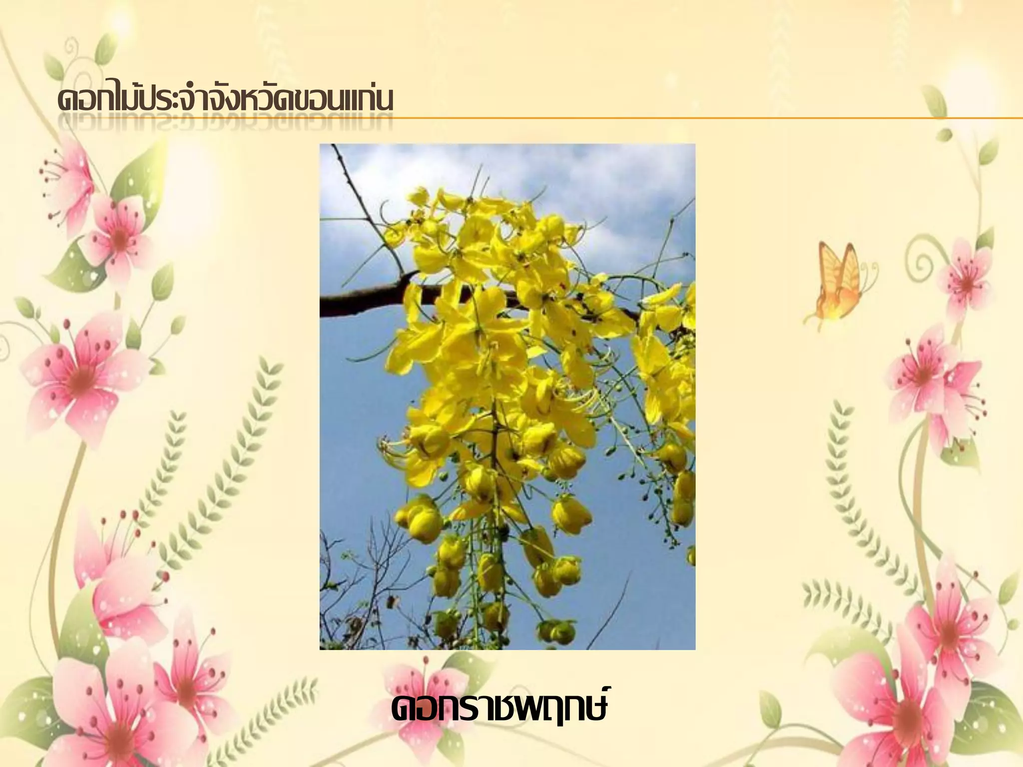 ดอกไม้ประจาจังหวัดขอนแก่น

ดอกราชพฤกษ์

 