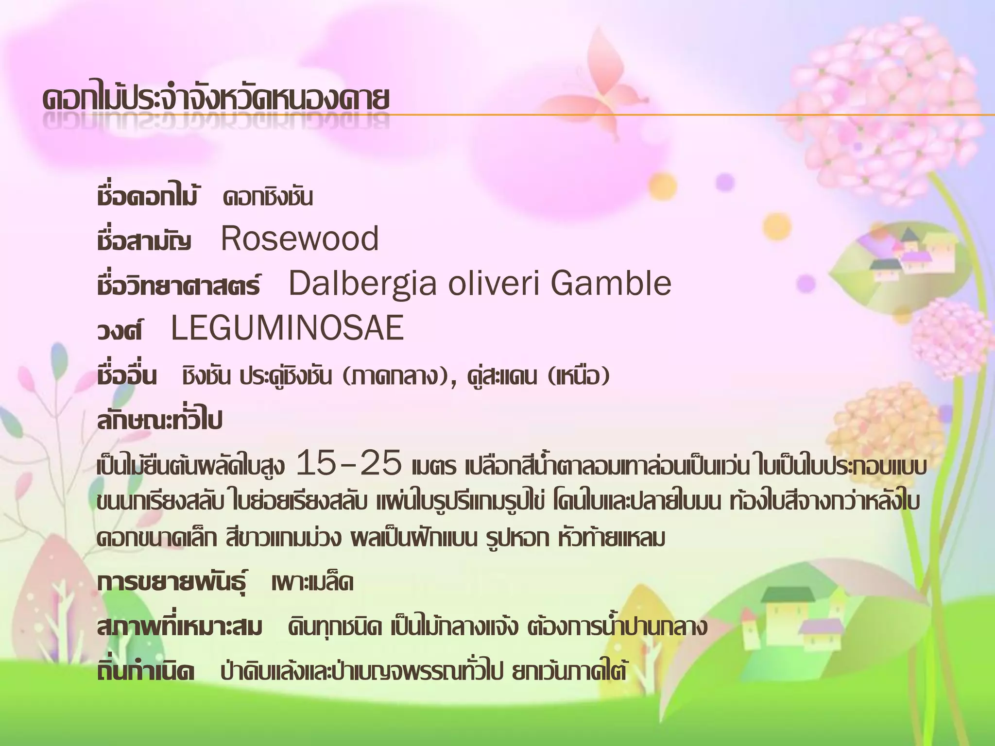 ดอกไม้ประจาจังหวัดหนองคาย
ชื่อดอกไม้ ดอกชิงชัน
ชื่อสามัญ Rosewood
ชื่อวิทยาศาสตร์ Dalbergia oliveri Gamble
วงศ์ LEGUMINOSAE
ชื่ออื่น ชิงชัน ประดู่ชิงชัน (ภาคกลาง), ดูสะแดน (เหนือ)
่
ลักษณะทั่วไป
เป็นไม้ยืนต้นผลัดใบสูง 15–25 เมตร เปลือกสีน้าตาลอมเทาล่อนเป็นแว่น ใบเป็นใบประกอบแบบ
ขนนกเรียงสลับ ใบย่อยเรียงสลับ แผ่นใบรูปรีแกมรูปไข่ โคนใบและปลายใบมน ท้องใบสีจางกว่าหลังใบ
ดอกขนาดเล็ก สีขาวแกมม่วง ผลเป็นฝักแบน รูปหอก หัวท้ายแหลม
การขยายพันธุ์ เพาะเมล็ด
สภาพที่เหมาะสม ดินทุกชนิด เป็นไม้กลางแจ้ง ต้องการน้าปานกลาง
ถิ่นกาเนิด ป่าดิบแล้งและป่าเบญจพรรณทั่วไป ยกเว้นภาคใต้

 