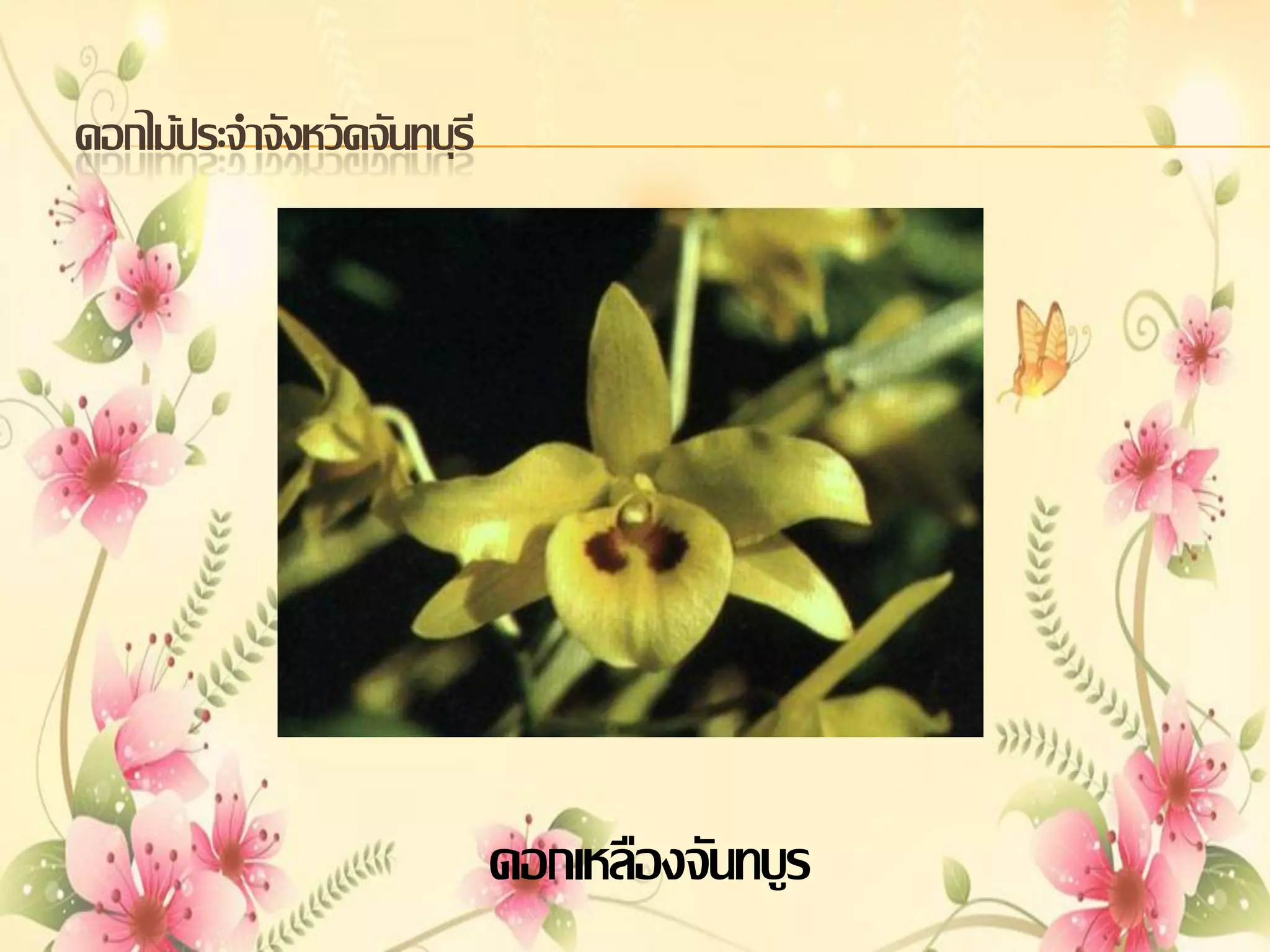 ดอกไม้ประจาจังหวัดจันทบุรี

ดอกเหลืองจันทบูร

 