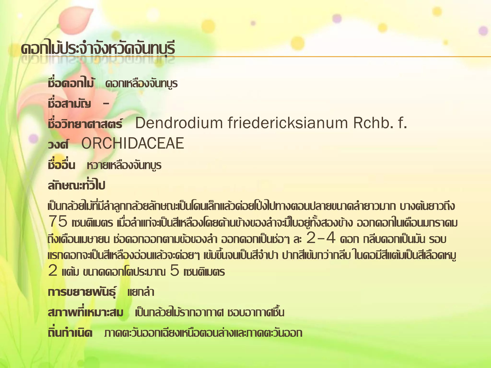 ดอกไม้ประจาจังหวัดจันทบุรี
ชื่อดอกไม้ ดอกเหลืองจันทบูร
ชื่อสามัญ ชื่อวิทยาศาสตร์ Dendrodium friedericksianum Rchb. f.
วงศ์ ORCHIDACEAE
ชื่ออื่น หวายเหลืองจันทบูร
ลักษณะทั่วไป
เป็นกล้วยไม้ที่มีลาลูกกล้วยลักษณะเป็นโคนเล็กแล้วค่อยโป่งไปทางตอนปลายขนาดลายาวมาก บางต้นยาวถึง
75 เซนติเมตร เมื่อลาแก่จะเป็นสีเหลืองโดยด้านข้างของลาจะมีใบอยู่ทั้งสองข้าง ออกดอกในเดือนมกราคม
ถึงเดือนเมษายน ช่อดอกออกตามข้อของลา ออกดอกเป็นช่อๆ ละ 2–4 ดอก กลีบดอกเป็นมัน รอบ
แรกดอกจะเป็นสีเหลืองอ่อนแล้วจะค่อยๆ เข้มขึ้นจนเป็นสีจาปา ปากสีเข้มกว่ากลีบ ในคอมีสีแต้มเป็นสีเลือดหมู
2 แต้ม ขนาดดอกโตประมาณ 5 เซนติเมตร
การขยายพันธุ์ แยกลา
สภาพที่เหมาะสม เป็นกล้วยไม้รากอากาศ ชอบอากาศชื้น
ถิ่นกาเนิด ภาคตะวันออกเฉียงเหนือตอนล่างและภาคตะวันออก

 