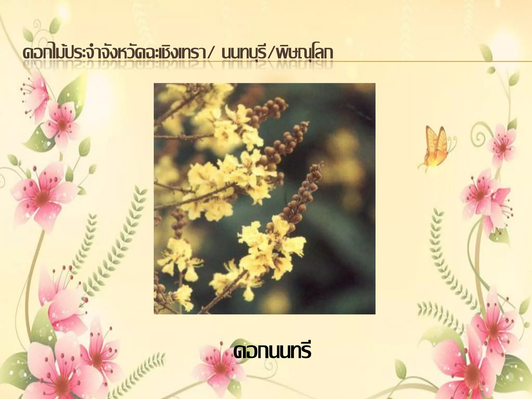 ดอกไม้ประจาจังหวัดฉะเชิงเทรา/ นนทบุรี/พิษณุโลก

ดอกนนทรี

 