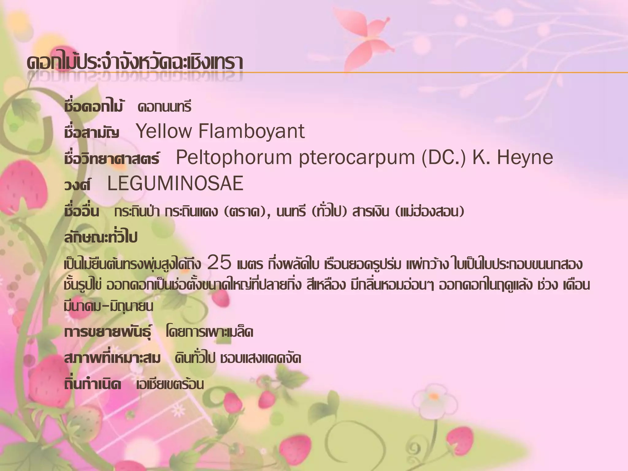 ดอกไม้ประจาจังหวัดฉะเชิงเทรา
ชื่อดอกไม้ ดอกนนทรี
ชื่อสามัญ Yellow Flamboyant
ชื่อวิทยาศาสตร์ Peltophorum pterocarpum (DC.) K. Heyne
วงศ์ LEGUMINOSAE
ชื่ออื่น กระถินป่า กระถินแดง (ตราด), นนทรี (ทั่วไป) สารเงิน (แม่ฮ่องสอน)
ลักษณะทั่วไป
เป็นไม้ยืนต้นทรงพุ่มสูงได้ถึง 25 เมตร กึ่งผลัดใบ เรือนยอดรูปร่ม แผ่กว้าง ใบเป็นใบประกอบขนนกสอง
ชั้นรูปไข่ ออกดอกเป็นช่อตั้งขนาดใหญ่ที่ปลายกิ่ง สีเหลือง มีกลิ่นหอมอ่อนๆ ออกดอกในฤดูแล้ง ช่วง เดือน
มีนาคม-มิถุนายน
การขยายพันธุ์ โดยการเพาะเมล็ด
สภาพที่เหมาะสม ดินทั่วไป ชอบแสงแดดจัด
ถิ่นกาเนิด เอเชียเขตร้อน

 