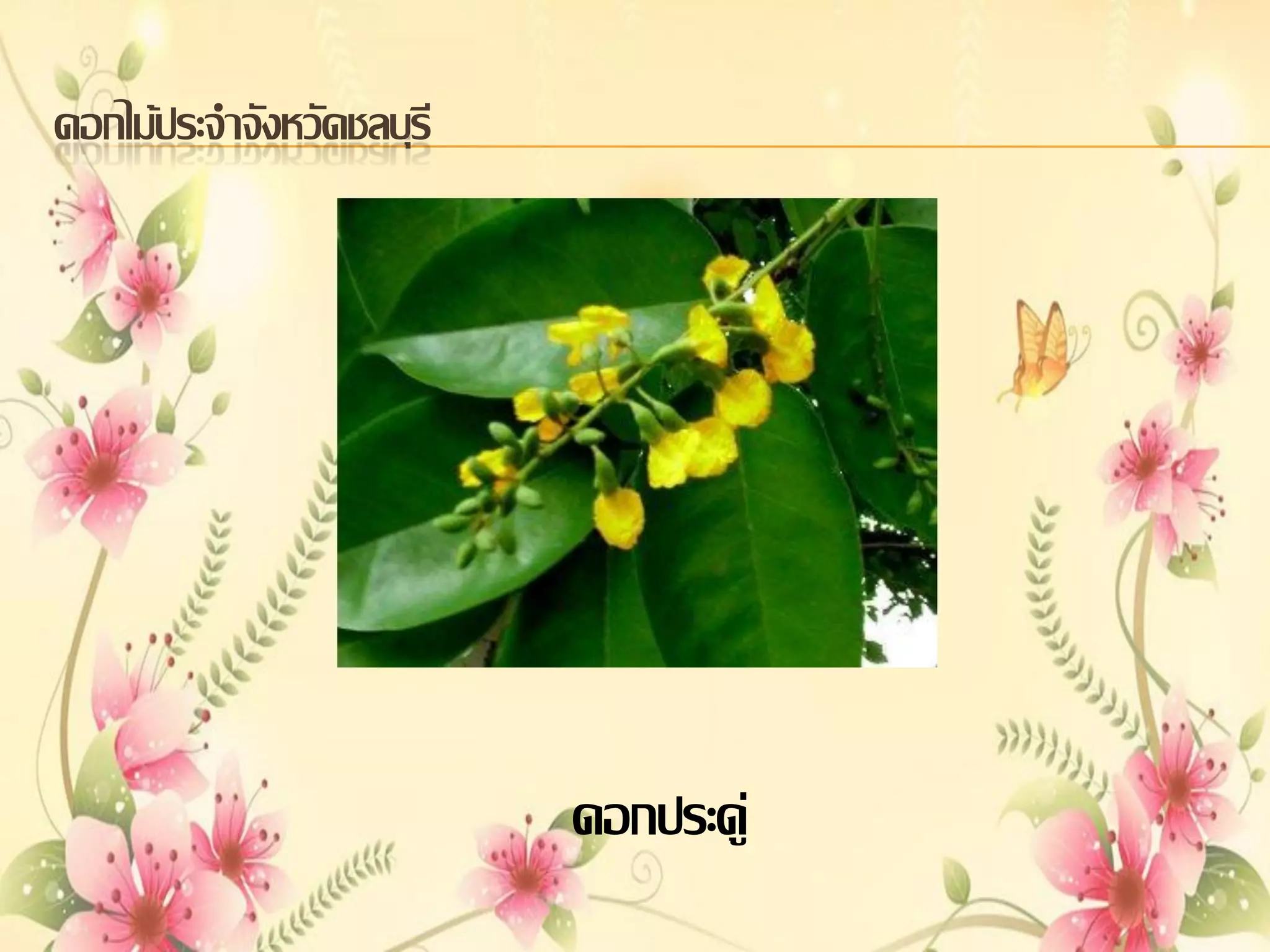 ดอกไม้ประจาจังหวัดชลบุรี

ดอกประดู่

 