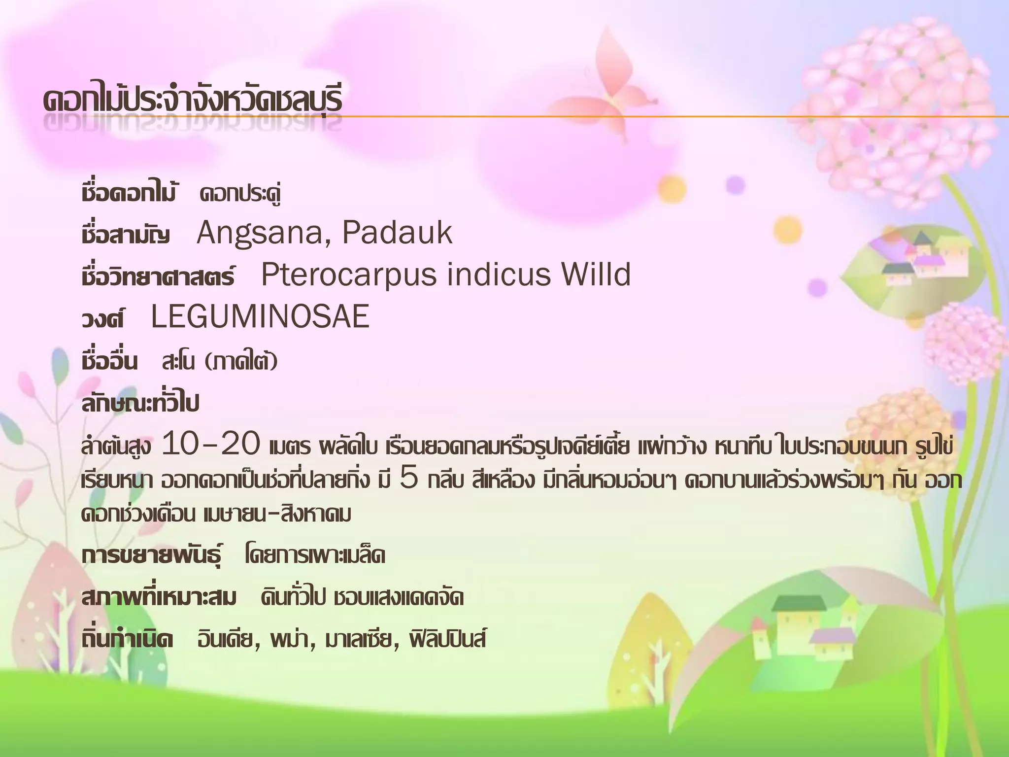 ดอกไม้ประจาจังหวัดชลบุรี
ชื่อดอกไม้ ดอกประดู่
ชื่อสามัญ Angsana, Padauk
ชื่อวิทยาศาสตร์ Pterocarpus indicus Willd
วงศ์ LEGUMINOSAE
ชื่ออื่น สะโน (ภาคใต้)
ลักษณะทั่วไป
ลาต้นสูง 10–20 เมตร ผลัดใบ เรือนยอดกลมหรือรูปเจดีย์เตี้ย แผ่กว้าง หนาทึบ ใบประกอบขนนก รูปไข่
เรียบหนา ออกดอกเป็นช่อที่ปลายกิ่ง มี 5 กลีบ สีเหลือง มีกลิ่นหอมอ่อนๆ ดอกบานแล้วร่วงพร้อมๆ กัน ออก
ดอกช่วงเดือน เมษายน-สิงหาคม
การขยายพันธุ์ โดยการเพาะเมล็ด
สภาพที่เหมาะสม ดินทั่วไป ชอบแสงแดดจัด
ถิ่นกาเนิด อินเดีย, พม่า, มาเลเซีย, ฟิลิปปินส์

 